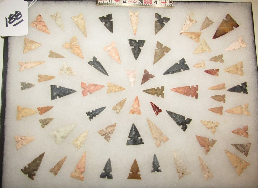 65 points: Large display with appx 65 Cahokia points, largest 1 3/4", Cook collection, not examined for coa