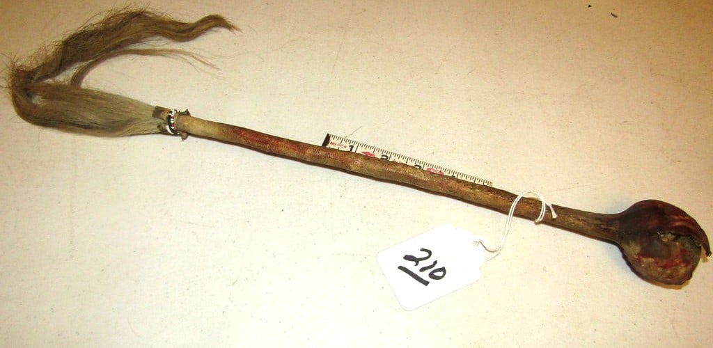 Club: Sioux 19" stone head club with horse hair tassel, sinew sewn, hide separation from stone head, Beranek collection, poor/fair condition