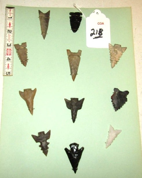 11 points: Display card 11 points with information on back of card, largest 2 3/8", Cook collection, not examined for coa