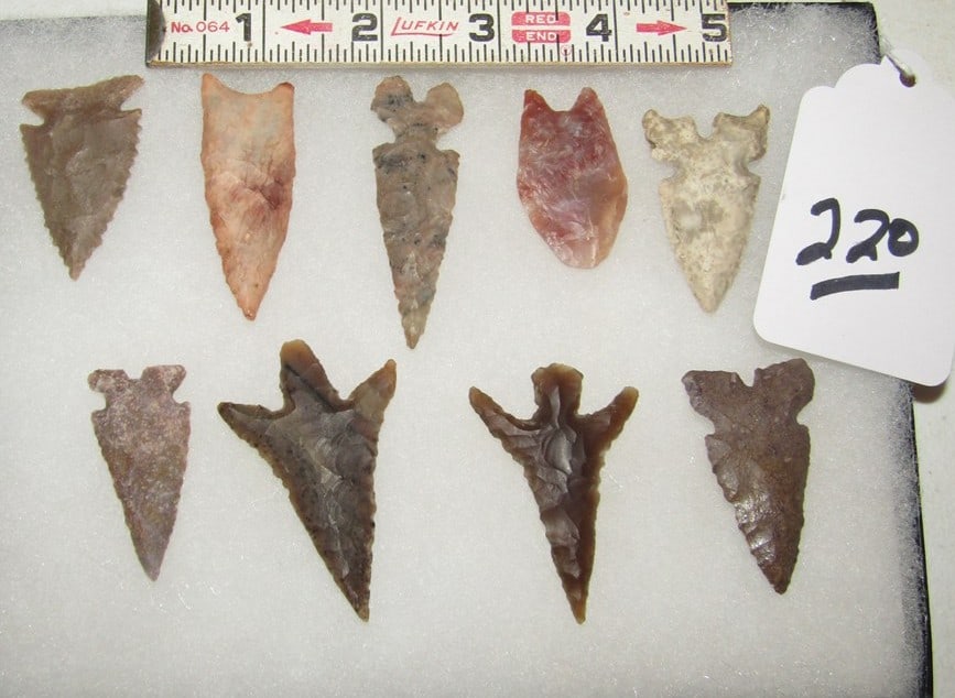 9 points: Display with 9 various points, largest 2 1/4", not examined for coa