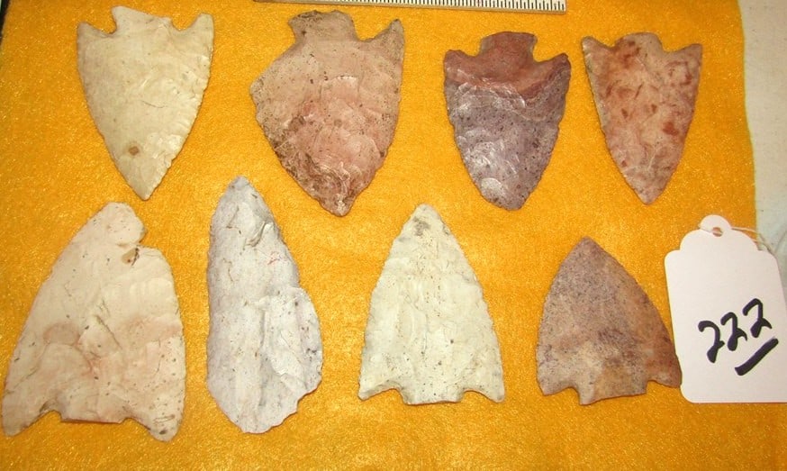 8 points: Display with 8 pc points, largest 3 7/8", not examined for coa