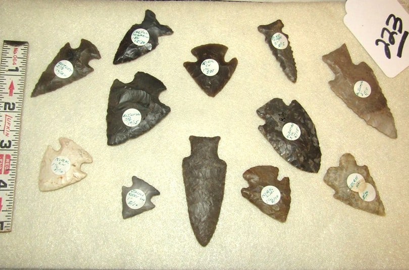 12 points: Display with 12 pc points with information, largest 3", Cook collection, not examined for coa