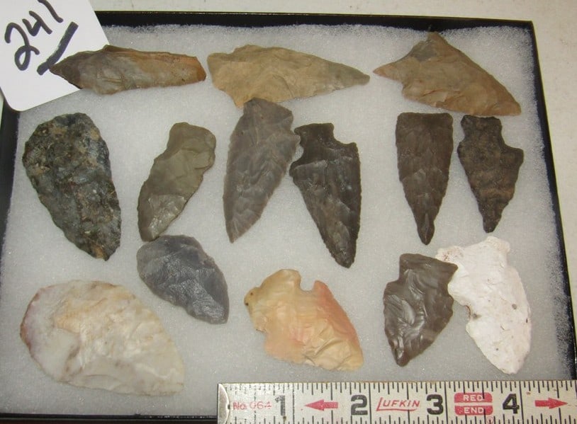 14 points: Display with 14 points, largest 2 5.8", Lamp collection, not examined for coa