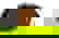 item-3075201=3