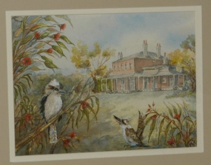 4 Marion HASTINGS W/Clrs. "Flannel Flowers" 40x31cm - 6
