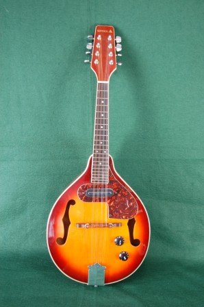 Samick エレクトリックマンドリン Samick エレクトリックマンドリン Samick Electric Mandolin | eBay