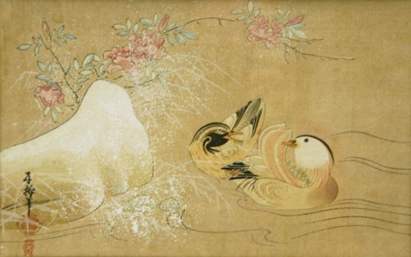Chinese School Duck, Drake & Prunis Flowers. W/Clr 1