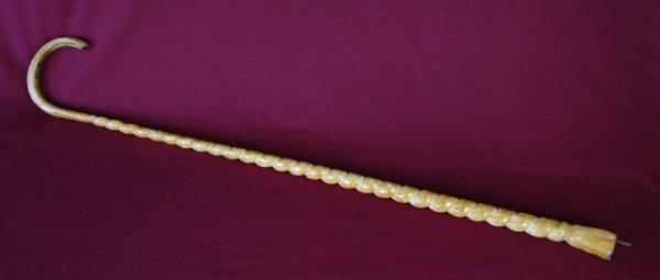 Walking Cane. Whale's penis. Reinforced with ste