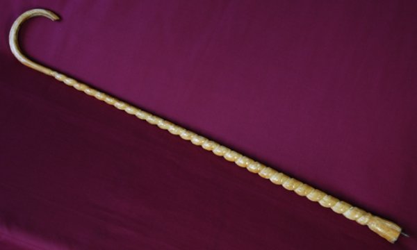 Walking Cane. Whale's penis. Reinforced with ste - 2