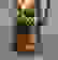 item-5536371=3