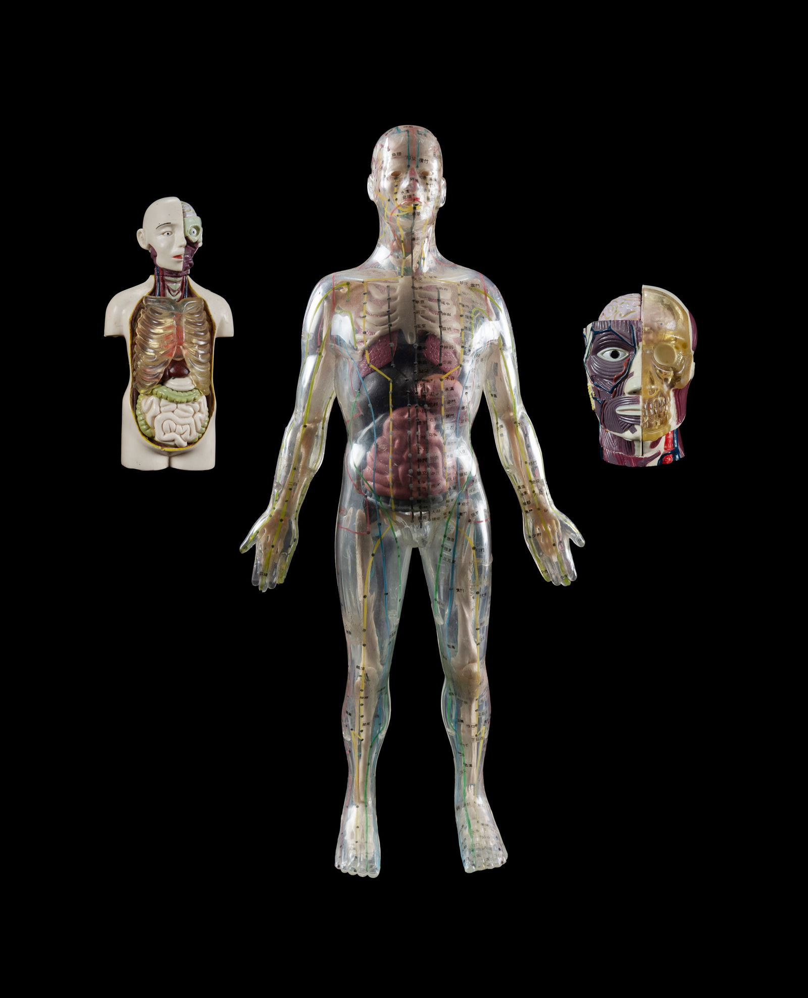 3 Anatomical Medical Models. Each coming apart to display internal organs, head, torso, and full: 3 Anatomical Medical Models.Each coming apart to display internal organs, head, torso, and full body. H38cm (tallest)