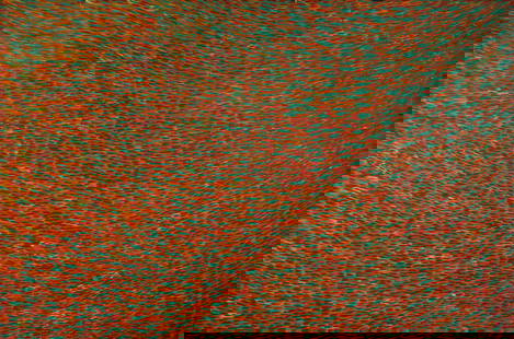 PETYARRE Gloria (Aboriginal 1942-2021), Untitled, 1999., Acrylic on Linen, 182x121cm: PETYARRE, Gloria (Aboriginal 1942-2021) Untitled, 1999. Signed 'Gloria' verso, and inscribed 'MB9333C [Mbantra?] Gloria Petyarre 9/9/99' Acrylic on Linen 182x121cm PROVENANCE: Collection John D. Chest