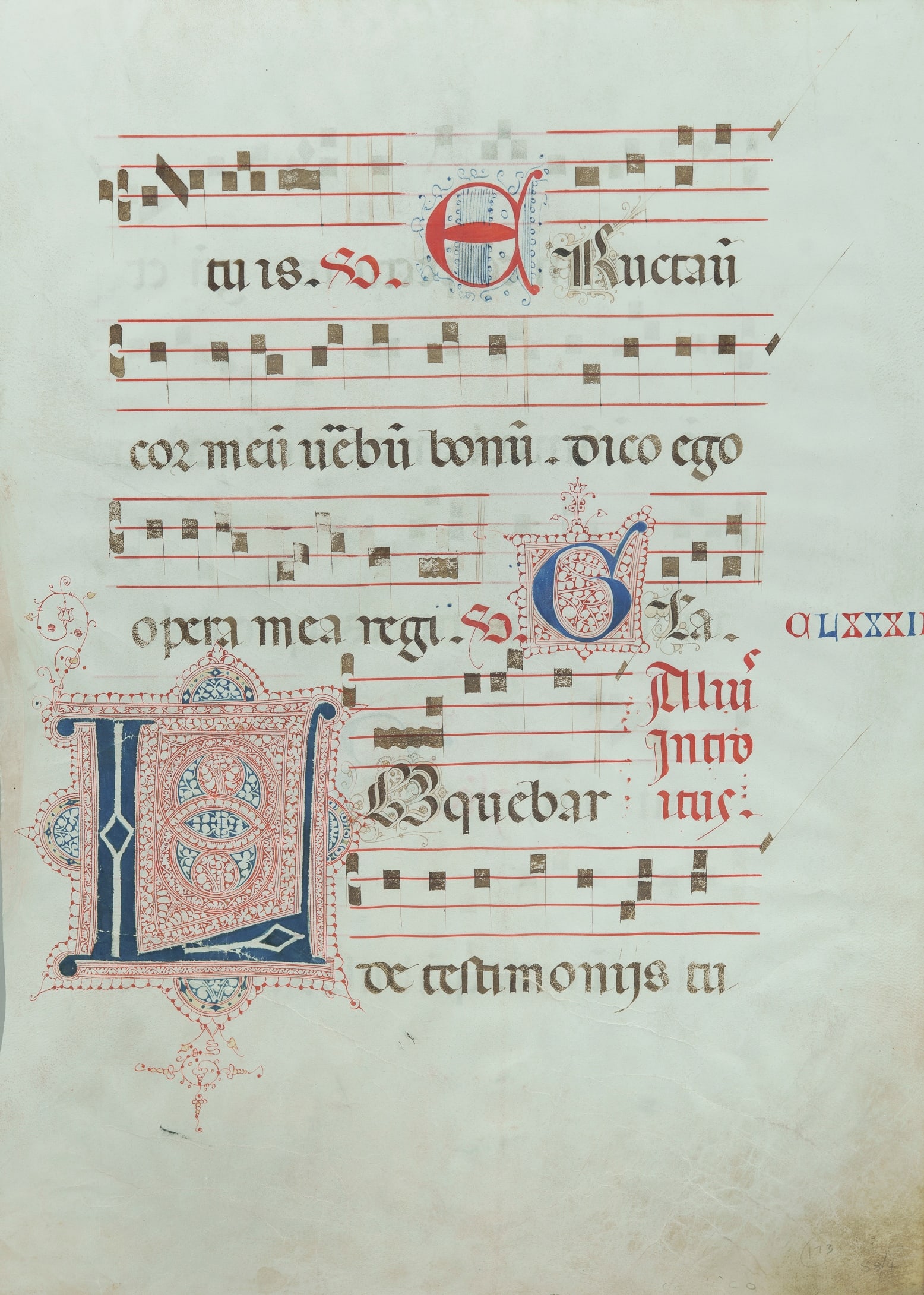 15th C Illuminated Vellum Manuscript Page, doublesided (1 of 3)