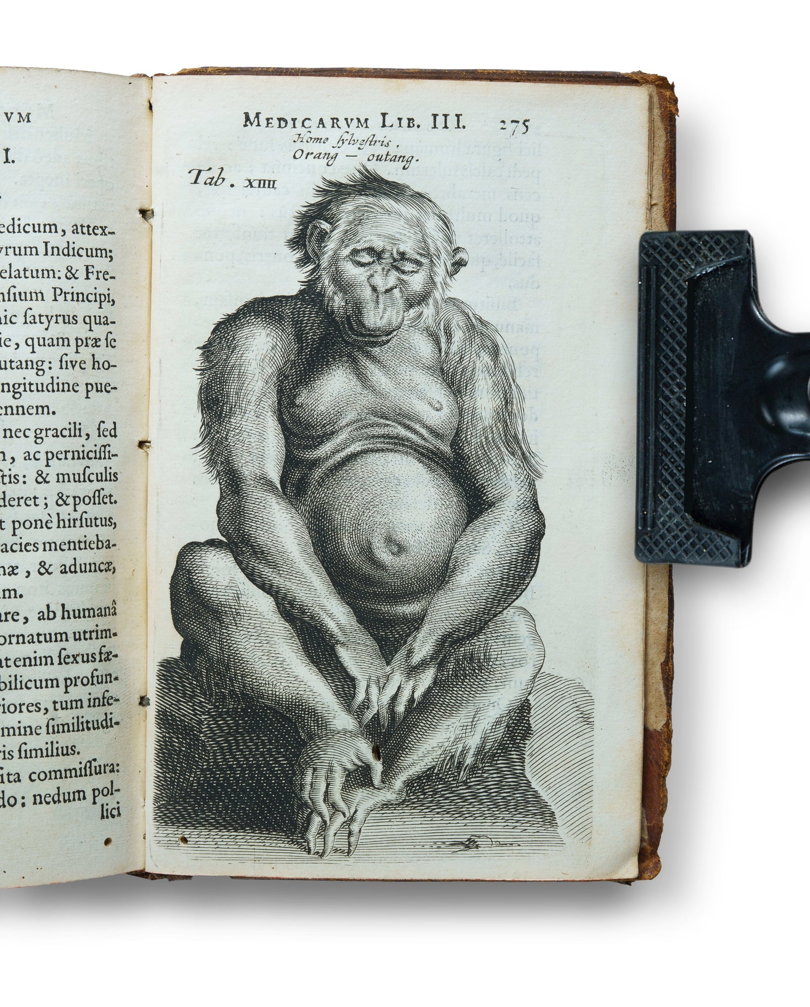 Rare 1641 Latin First Edition of Tulp's 'Observationum Medicarum' (Medical Observations) (1 of 5)