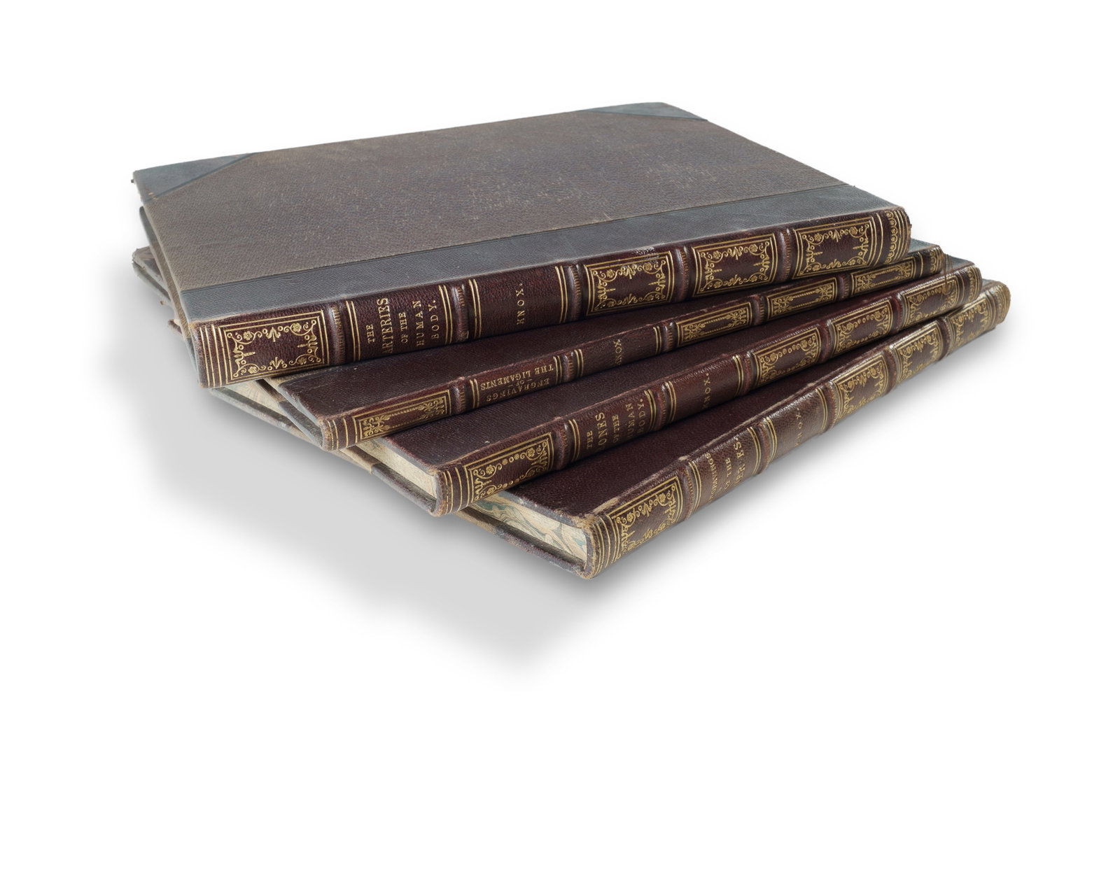 4 Medical Volumes (1829-36) Translated by Controversial Anatomist Robert Knox, reproducing plates by (1 of 4)