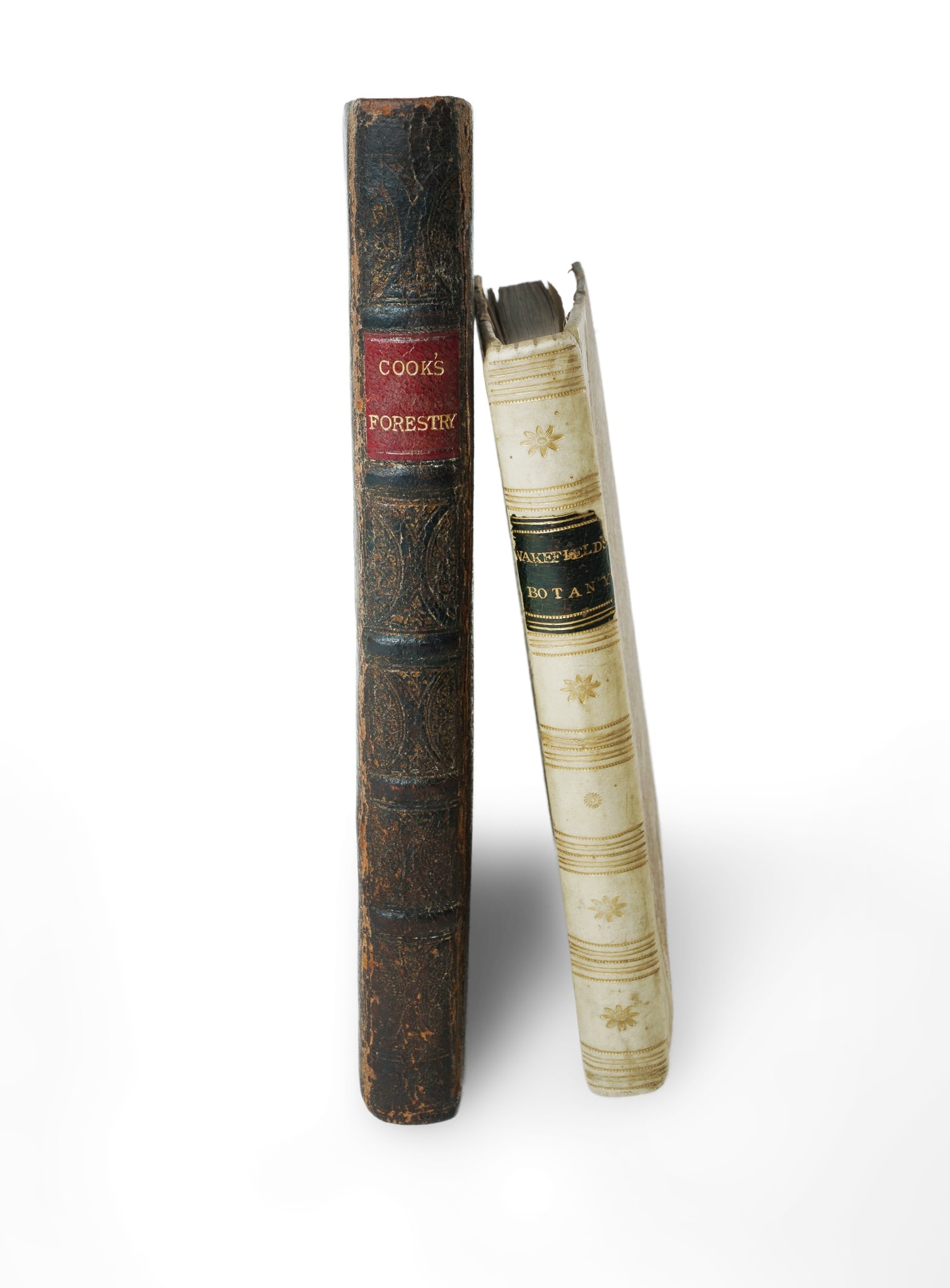 2 Early English Volumes on Botany: A 1st Edition Moses Cook (1676) with a Priscilla Wakefield (1812): 2 Early English Volumes on Botany: A 1st Edition Moses Cook (1676) with a Priscilla Wakefield (1812) 1) COOK, Moses 'The Manner of Raising, Ordering and Improving Forest Trees: also, How to Plant, Mak