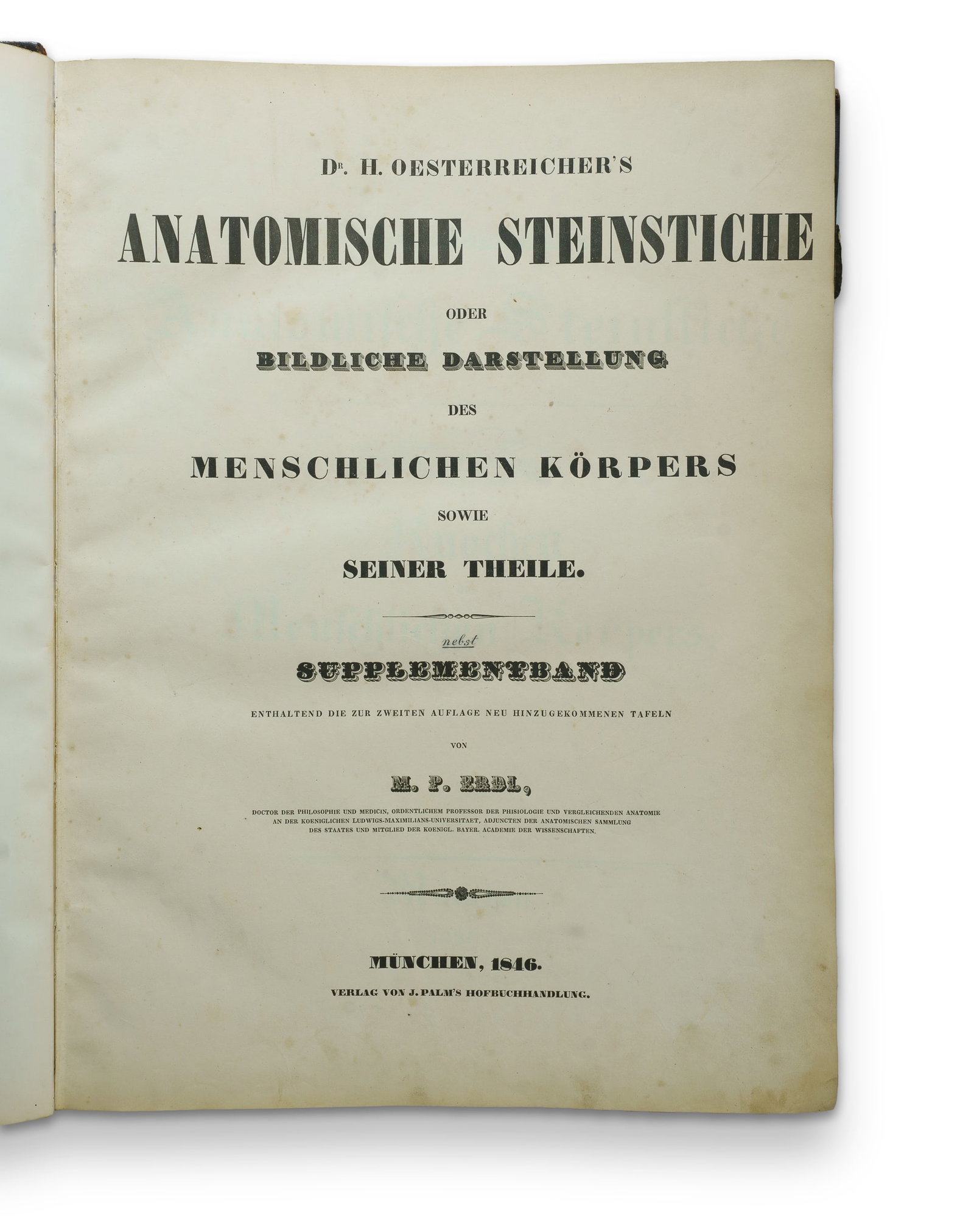 1846 German Edition of Johann Heinrich Oesterreicher's 'Anatomical Engravings' using the Stone: 1846 German Edition of Johann Heinrich Oesterreicher's 'Anatomical Engravings' using the Stone Lithography technique, with Supplement completed by MP Erdl 'OESTERREICHER, Johann Heinrich (1805-1843) a