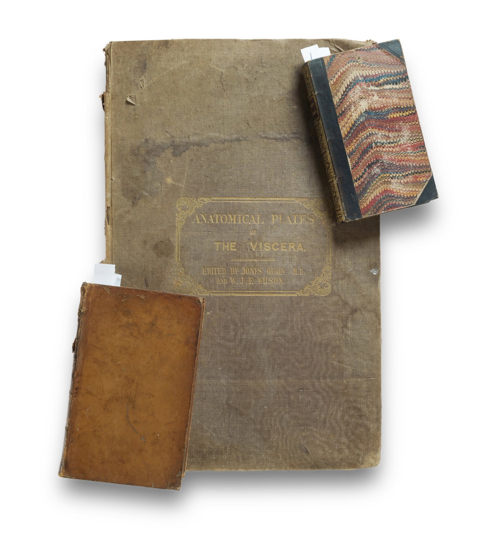 3 Volumes on Anatomy by Sir William JE Wilson & Jones Quain (1832, 1838 & 1840) (1 of 4)