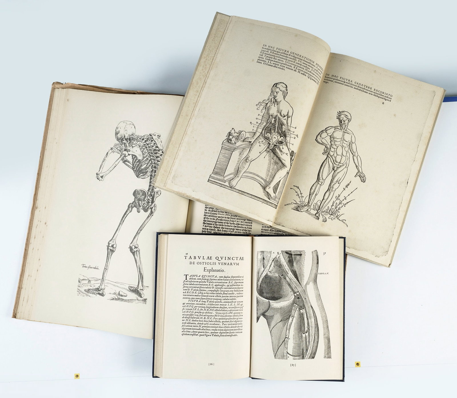 Three Facsimile Volumes on Anatomy: Thomas GEMINUS (1553), Gvaltheri RYFF (1500) and Herionymus of (1 of 6)