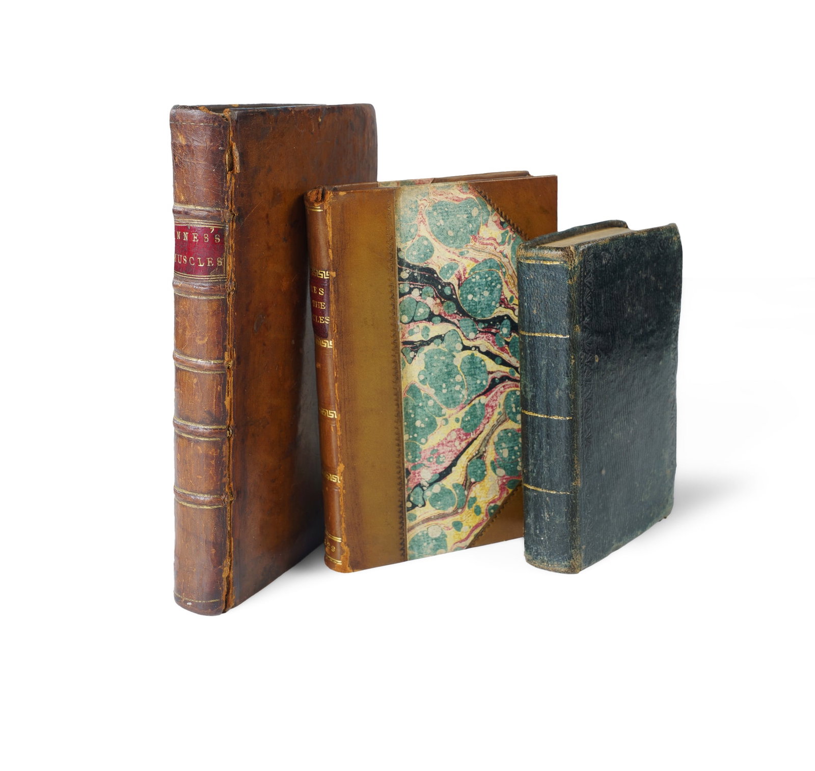 Three Editions of John Innes 'A Short Description of the Human Muscles' (1778, 1815 and 1829) (1 of 2)