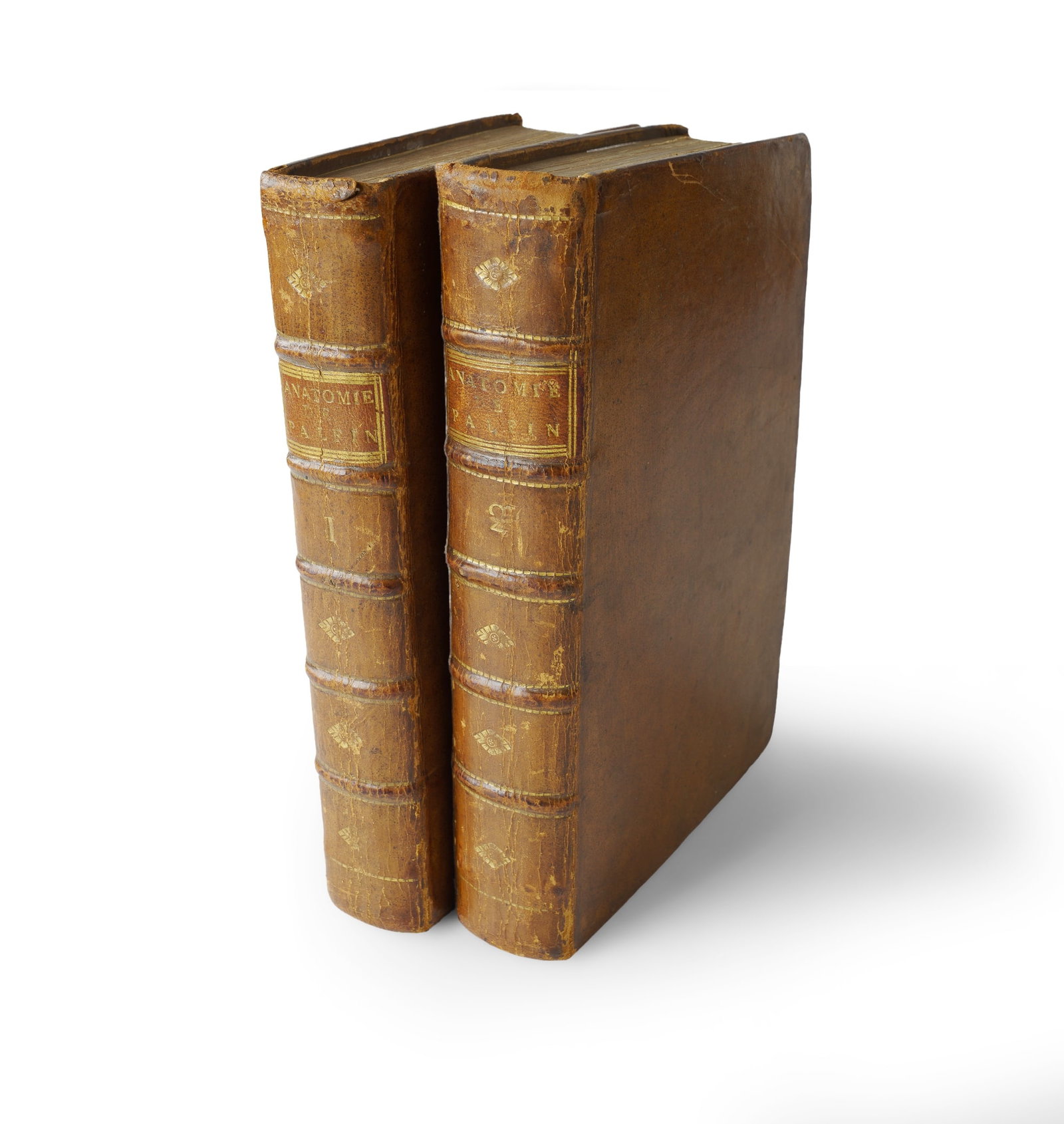 Two French Volumes on Human Anatomy: Combined Volume of Jean Palfijn (Vol 1), Frederik Ruysch and (1 of 6)