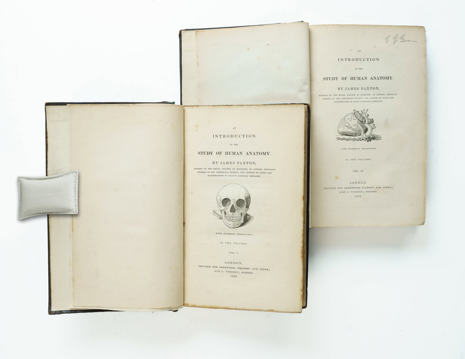 James Paxton's 'Study of Human Anatomy', 1834, Complete in Two Volumes.: James Paxton's 'Study of Human Anatomy', 1834, Complete in Two Volumes. Paxton, James (1786-1860) was a surgeon, medical author and Member of the Royal College of Surgeons. 'An Introduction to the Stu
