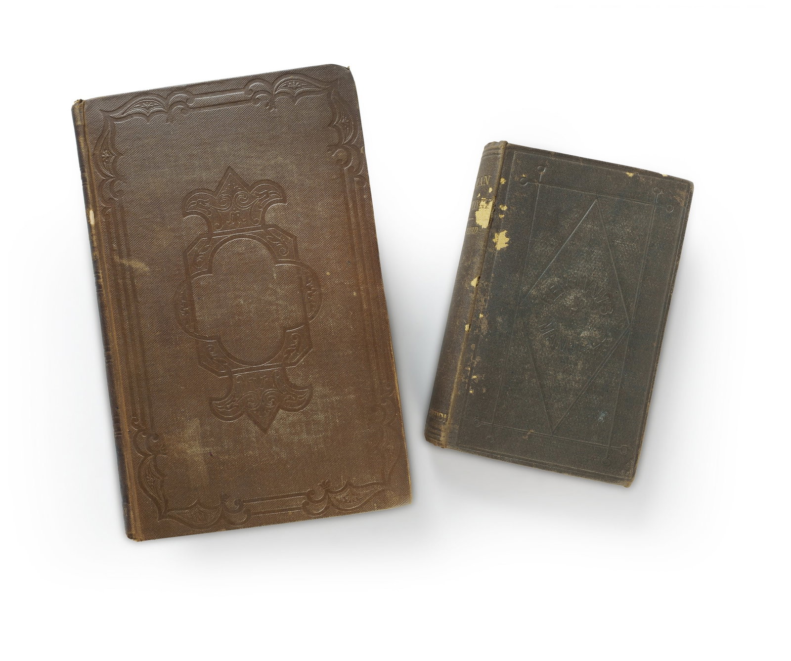 Two Volumes on Osteology by Frederick Oldfield Ward (1876) and Bransby Blake Cooper (1884) (1 of 6)