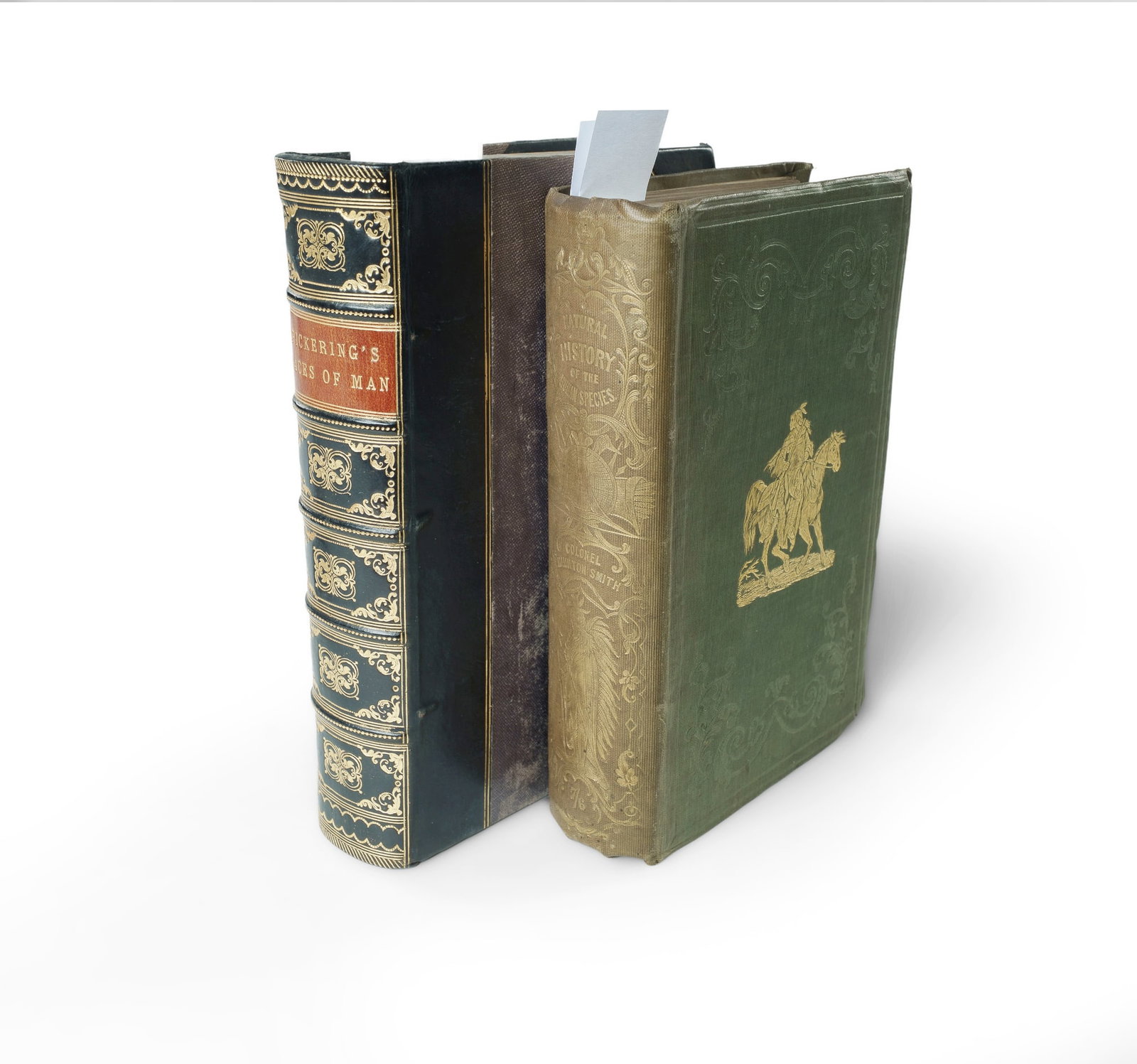 Evolutionary Academics Charles Hamilton Smith's 'The Natural History of the Human Species' (1848)... (1 of 5)
