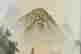item-134298176=3