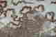 item-134298219=4