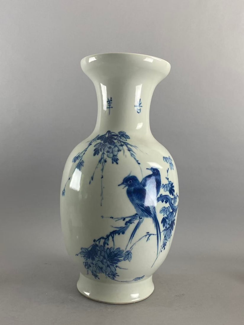 Chinese Asian blue and white porcelain vase (1 of 6)