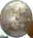 item-81982103=9