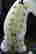 item-107030130=4