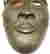 item-109574084=3