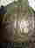 item-115249251=5