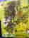 item-128006601=2