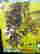 item-128006601=3