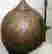 item-131616734=3