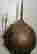 item-131616734=7