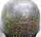 item-131794057=5