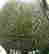 item-132078836=5