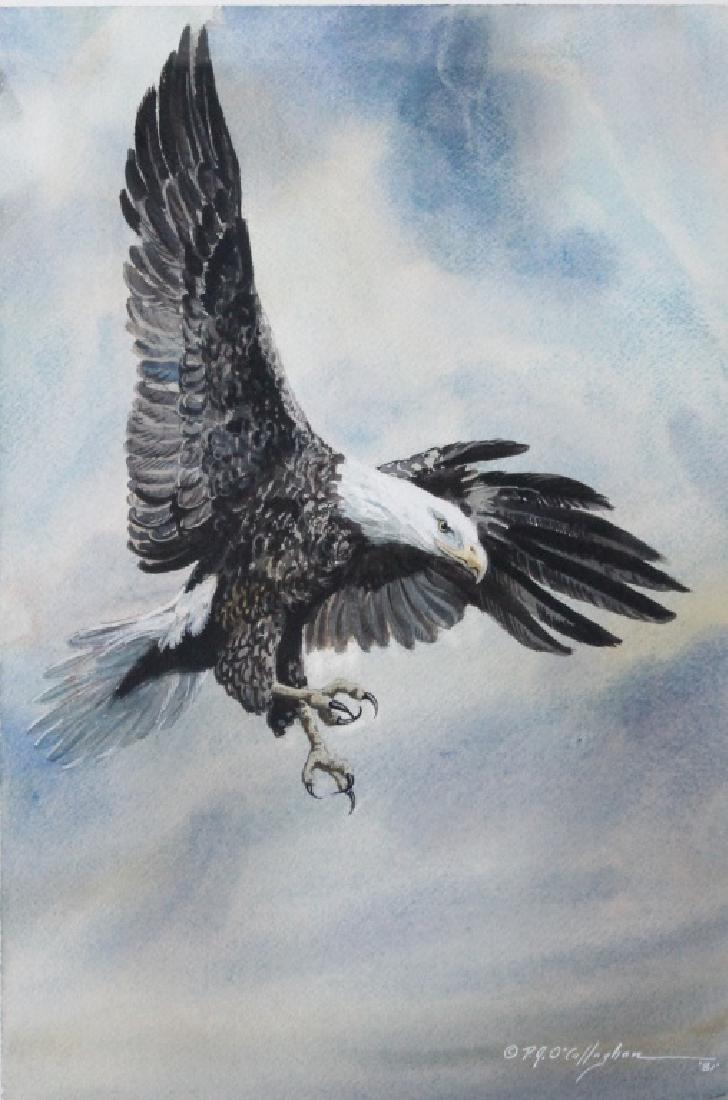 P J O'Callaghan (American) (1 of 6)