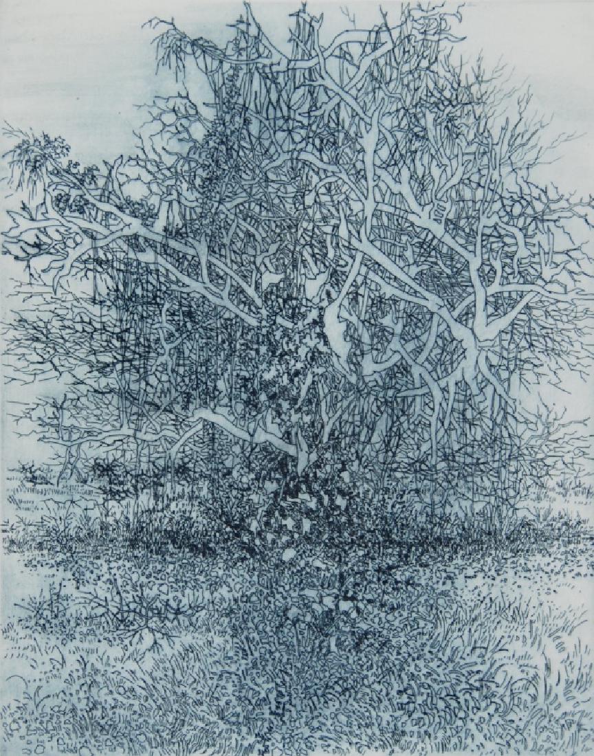 Gabor Peterdi (1 of 3)