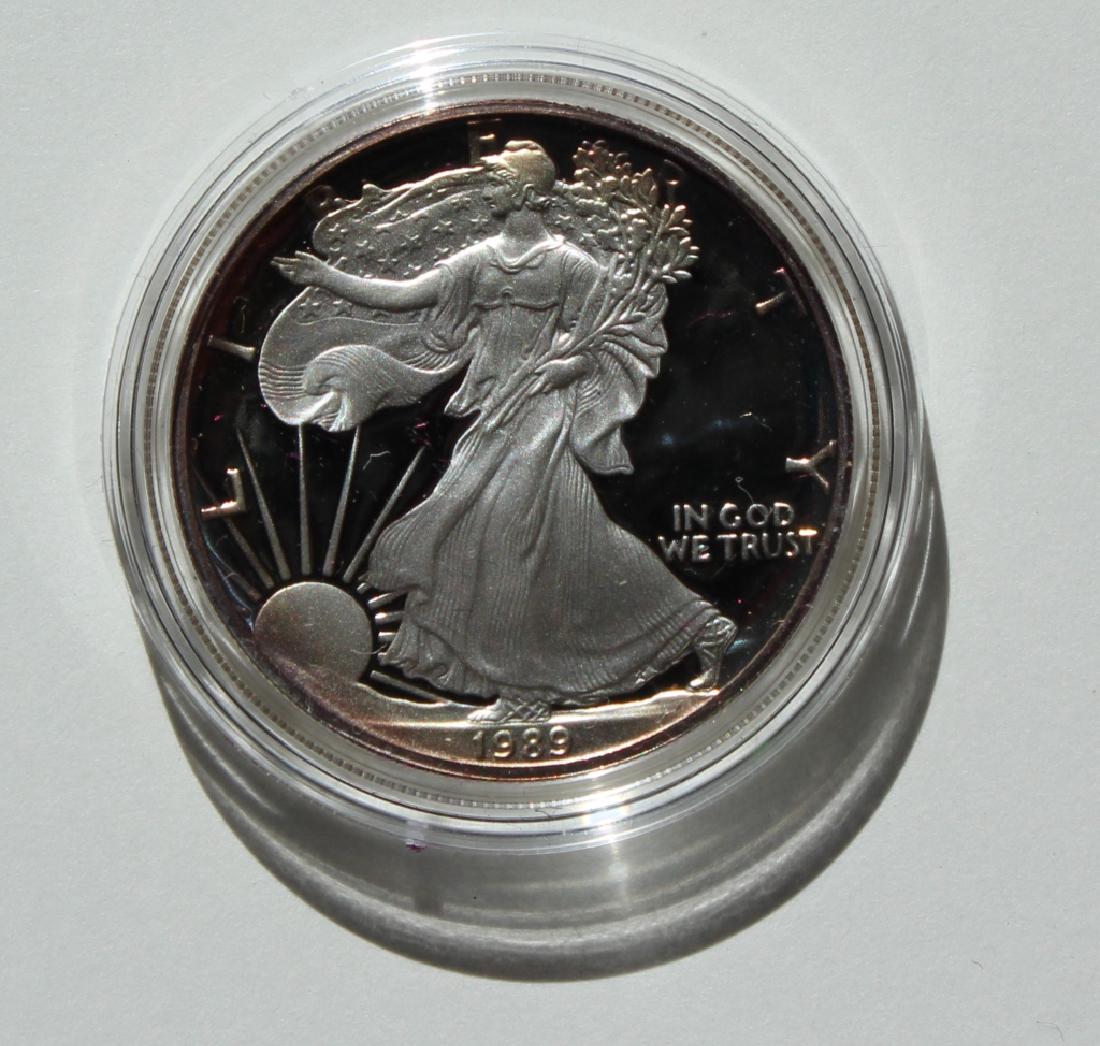 1989 Silver American Eagle Proof (1 of 7)