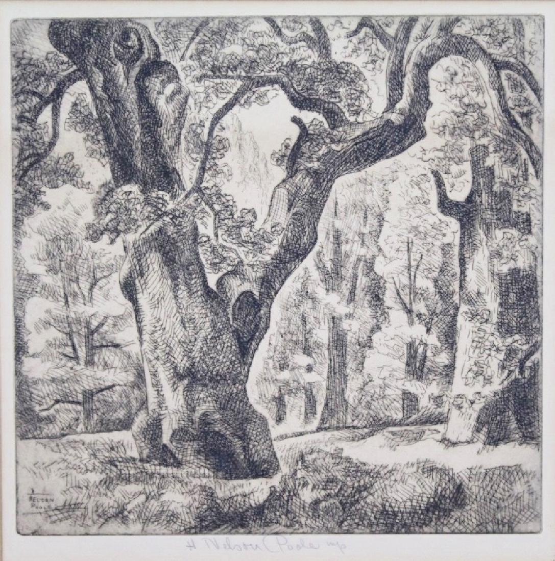 Horatio Nelson Poole (1884 - 1949) (1 of 4)