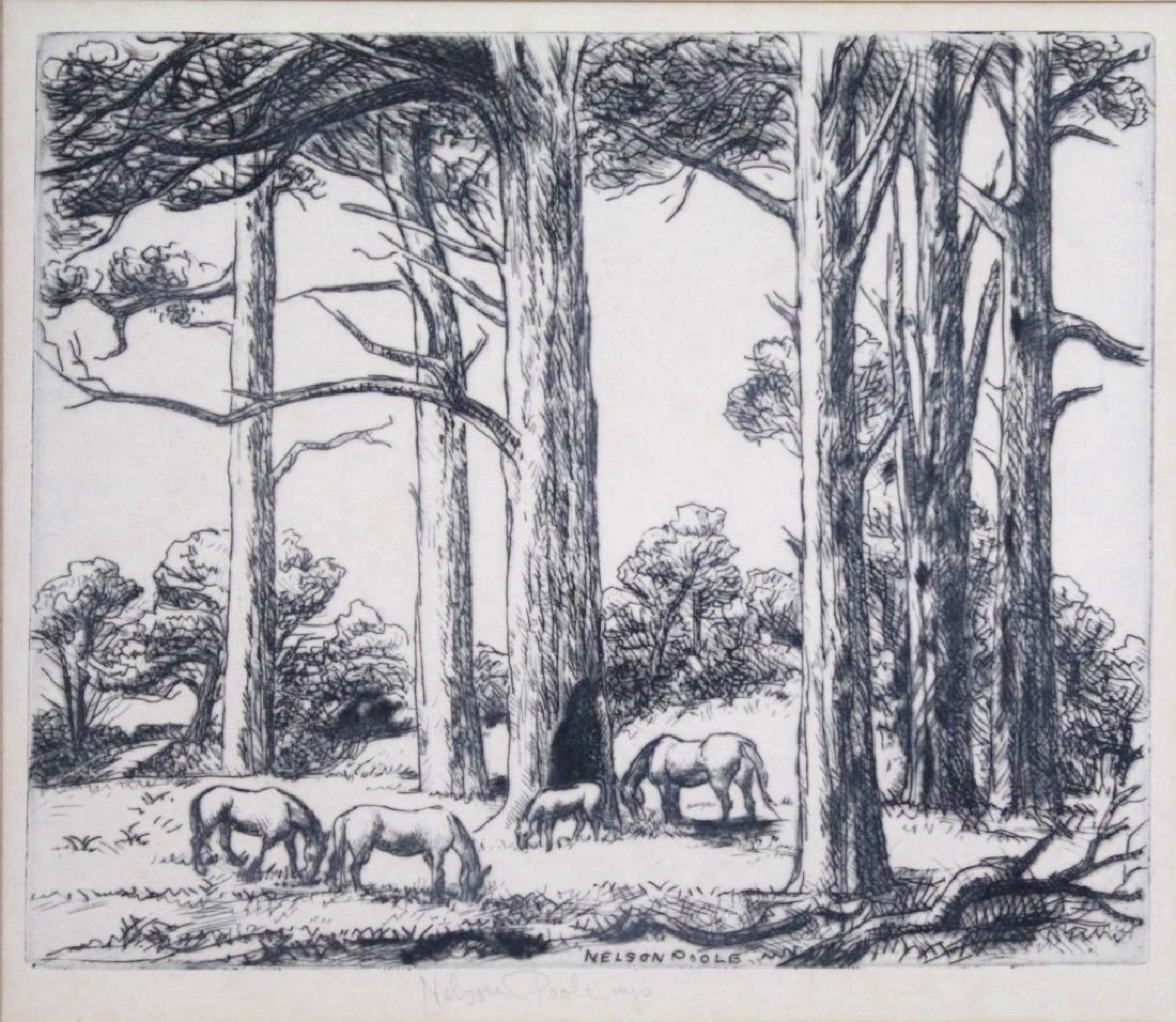 Horatio Nelson Poole (1884 - 1949) (1 of 4)