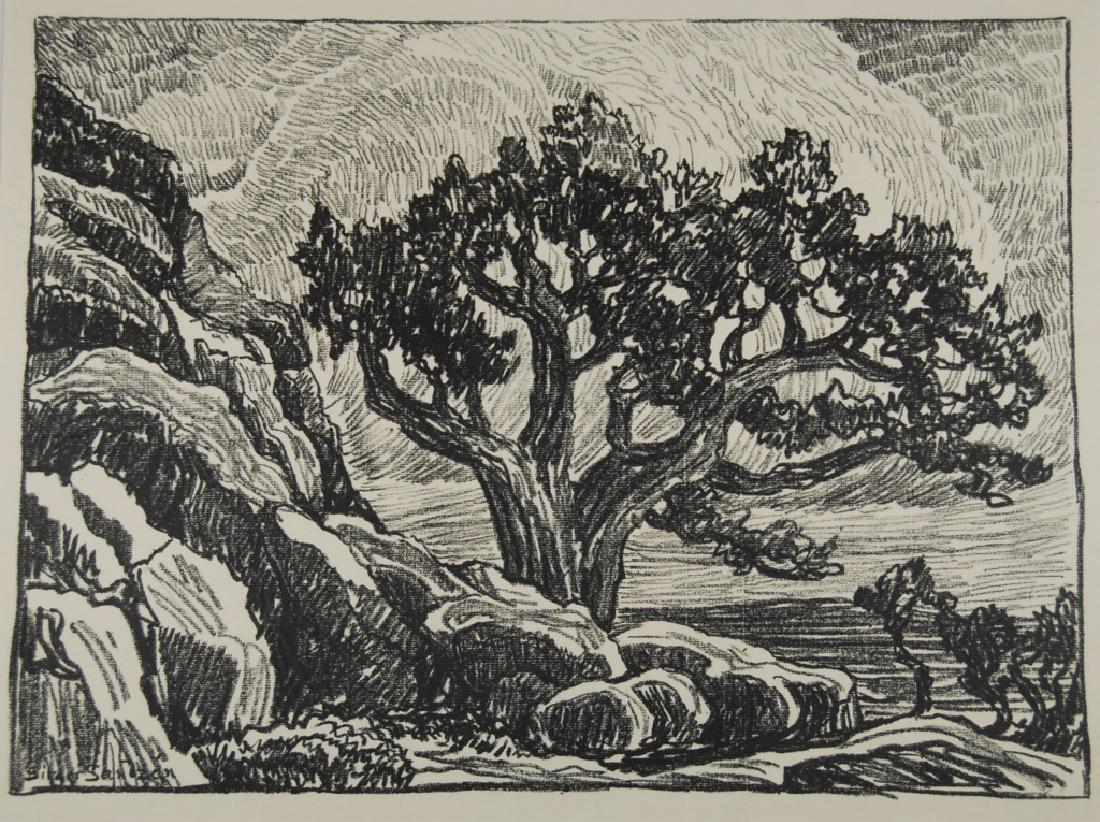 Birger Sandzen (1871-1954): Old Cedar and Rocks Letter- copy showing consigned by direct descendent of Robert George Lienroth who was art manager for lithographers Ketterlinus & Company of Philadelphia. Signature: SLL -inscribed