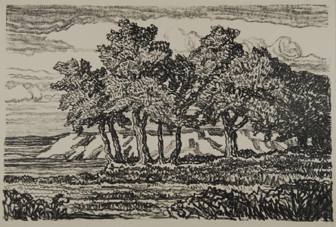 Birger Sandzen (1871-1954): Tree grove Letter- copy showing consigned by direct descendent of Robert George Lienroth who was art manager for lithographers Ketterlinus & Company of Philadelphia. Signature: SLL - inscribed B S. Me
