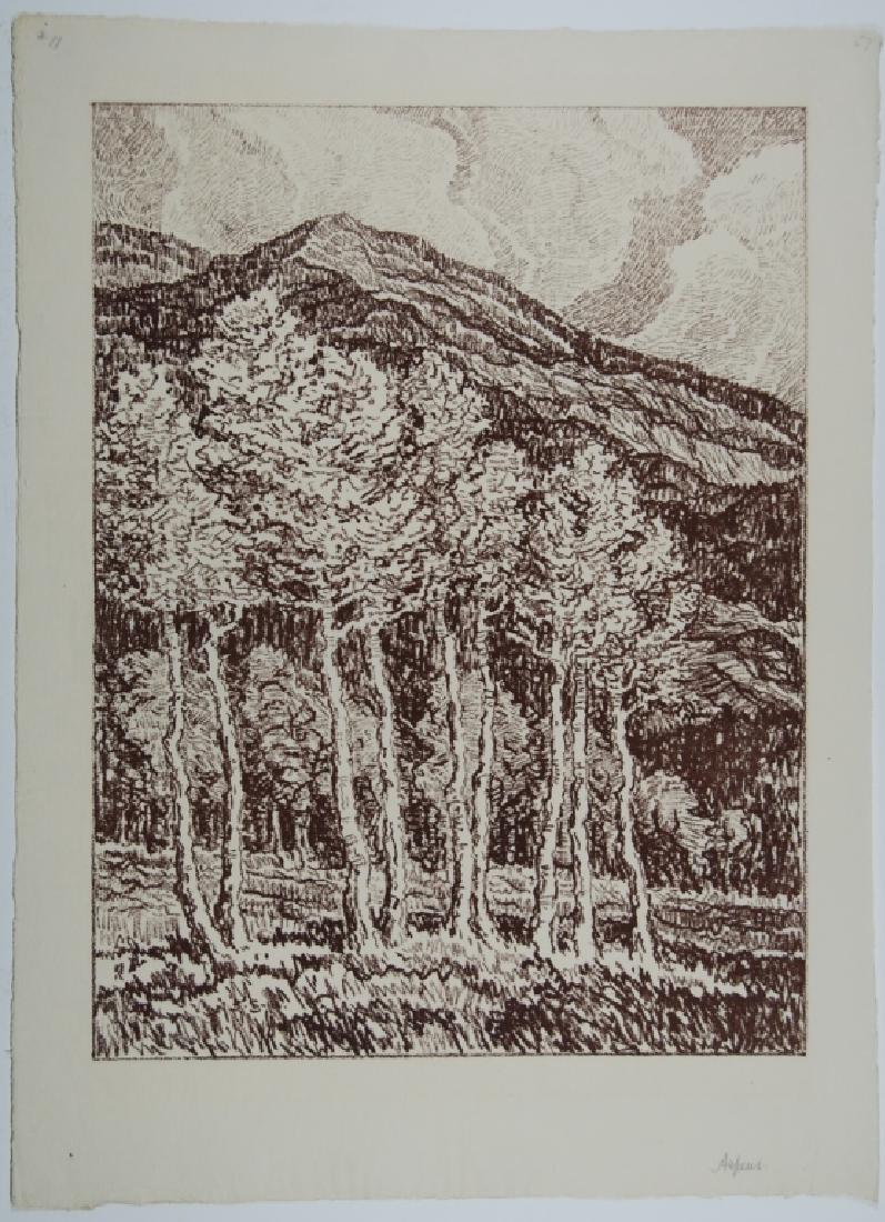 Birger Sandzen (1871-1954): Aspens Sepia tone Letter- copy showing consigned by direct descendent of Robert George Lienroth who was art manager for lithographers Ketterlinus & Company of Philadelphia. Signature: SLL - inscribed 