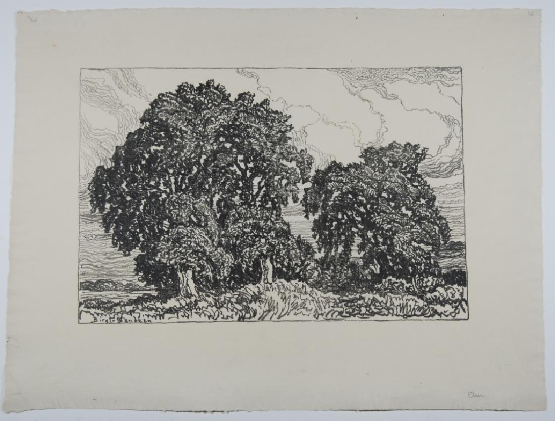 Birger Sandzen (1871-1954): Elms Letter- copy showing consigned by direct descendent of Robert George Lienroth who was art manager for lithographers Ketterlinus & Company of Philadelphia. Signature: SLL/ inscribed. Medium: Litho